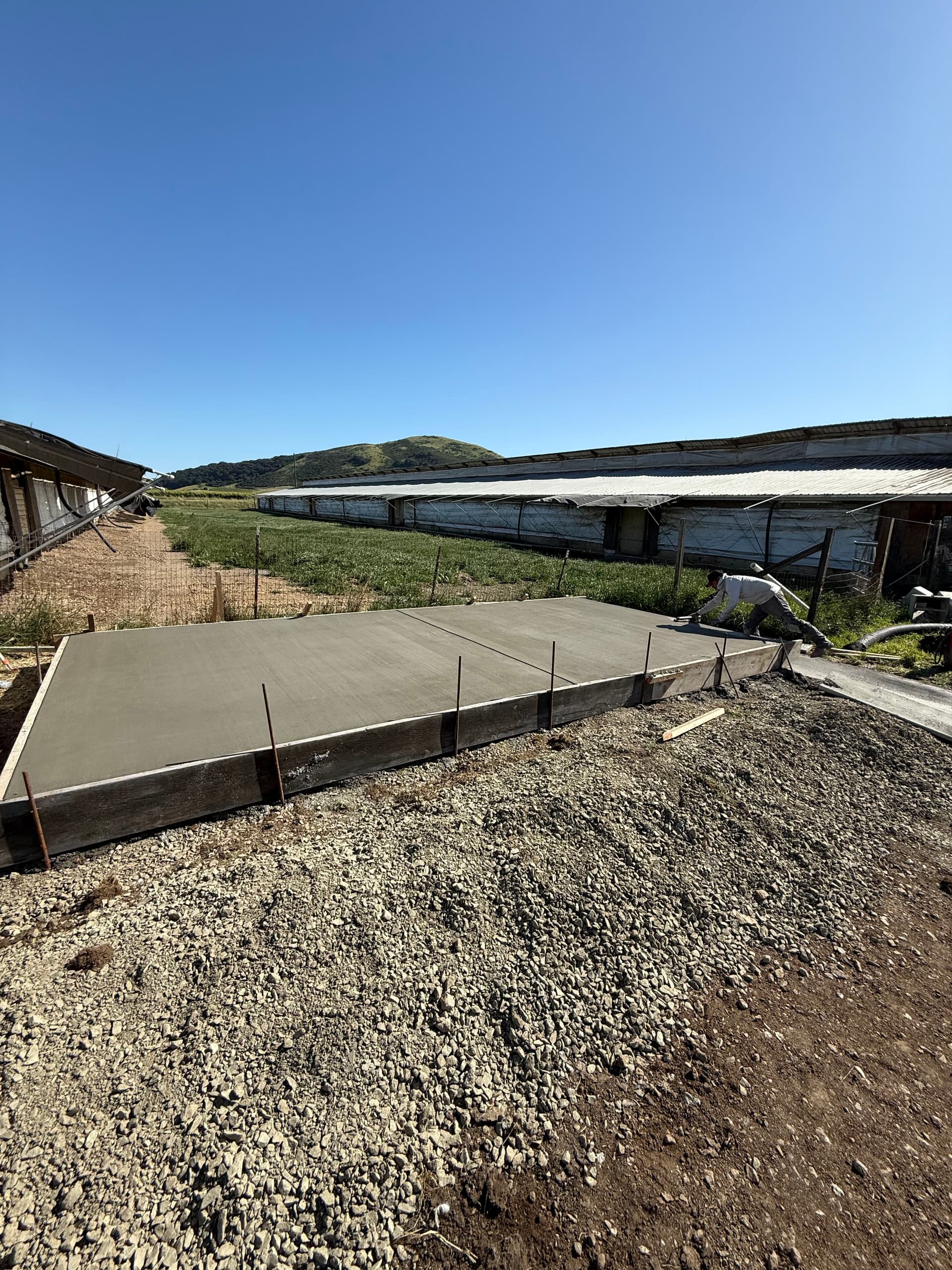 Structural Silo Pads Poured at a Sonoma Chicken Ranch image